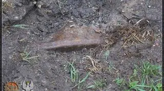 Początek wykopywania cysterny