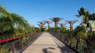 Gardens by the Bay