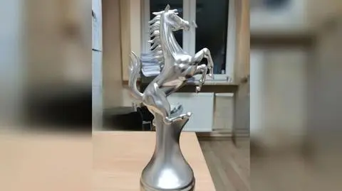 Projekt bez tytułu (34)