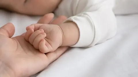 shutterstock_2040223886