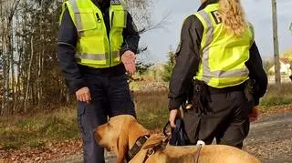 W poszukiwaniach wzięły udział psy tropiące
