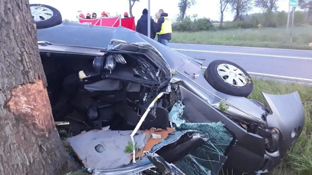 Auto uderzyło w drzewo