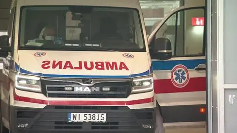 1611N391XR PIS DNZ WILCZYNSKA