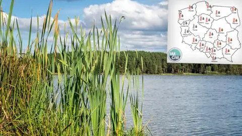 Pogoda na początek lata. Eksperymentalne prognozy IMGW