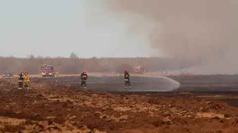 Pożar w Biebrzańskim Parku Narodowym