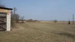 Na pierwszy rzut oka, to tylko zwykła łąka
