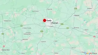 Sady koło Poznania