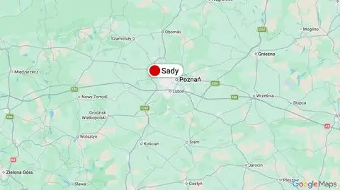 Sady koło Poznania