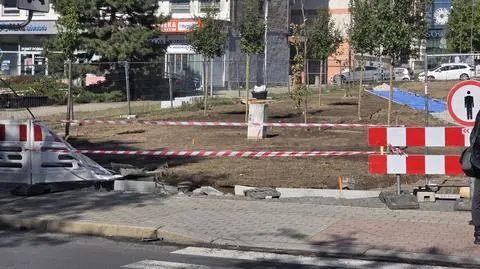 Samochód odbił się i uderzył w pieszą