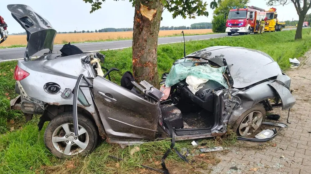 Samochód wypadł z drogi i uderzył w drzewo