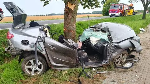 Samochód wypadł z drogi i uderzył w drzewo