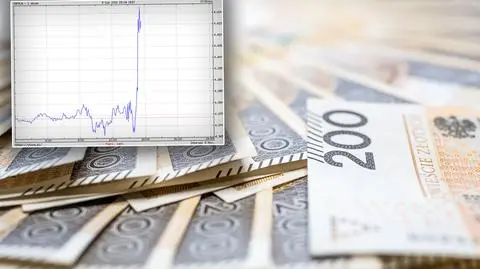 Mocna huśtawka na złotym po słowach prezesa NBP