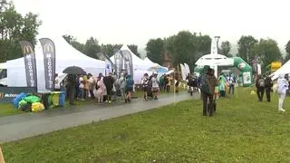 Czyste Tatry
