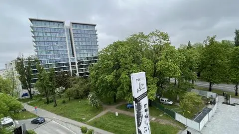 Szykują teren pod postawienie pomnika (zdjęcie z 20 maja 2023 roku)