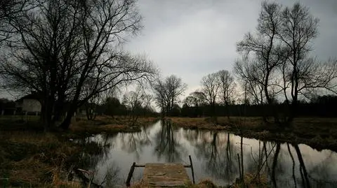 Pogoda na dziś: pochmurno, miejscami deszczowo, do 7 stopni