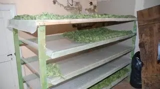 Policjanci znaleźli też 24 kg suszu 