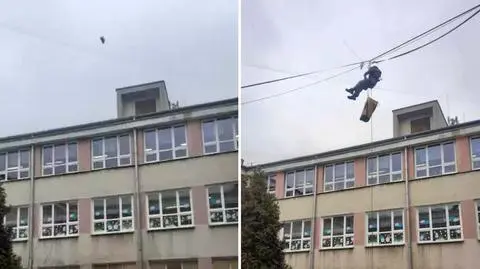 Na ratunek uwięzionej mewie wezwali alpinistów