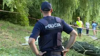 W jednym z parków w Kaliszu konar drzewa runął na trzy nastolatki