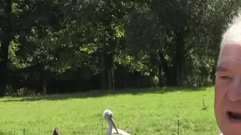 Krzysztof Kazanowski: wybiera miejsca, gdzie jest woda, po to aby szukać pokarmu 