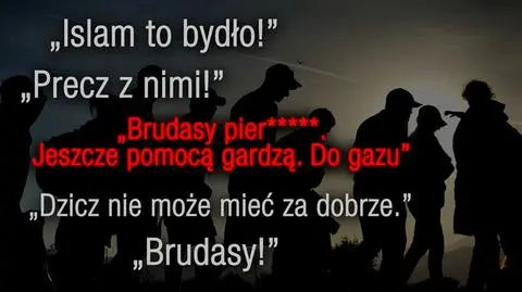 21.02.2016 | Nienawiść wobec uchodźców z internetu przenosi się na rzeczywistość. Zapadają też pierwsze wyroki za hejt w sieci