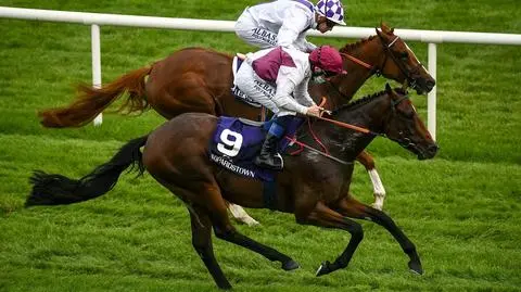 Kilkanaście koni na dopingu. Trener z dyskwalifikacją