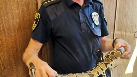 Pyton w przejściu podziemnym. Wieczorem mężczyzna spacerował z podobnym wężem, był też z nim na plaży