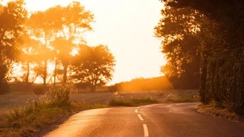 shutterstock_2340814569