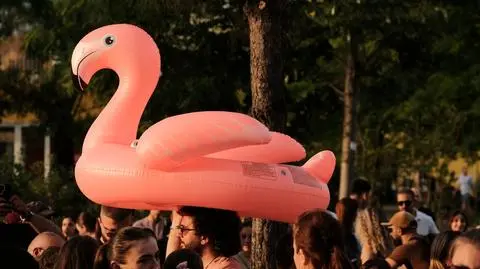 Flamingi stały się symbolem protestów w Albanii