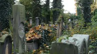 Stary Cmentarz Żydowski