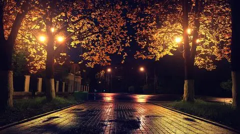 Noc, jesień, deszcz
