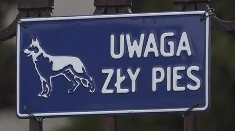 Pies podbiegł do furtki, wystraszony 16-latek wybiegł na jezdnię i wpadł pod auto