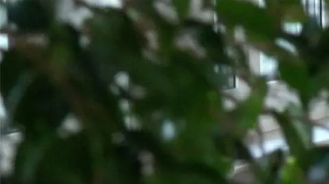 Otyłość, wady postawy, krótkowzroczność, stany lękowe. Szkoła mierzy się z efektami pandemii 