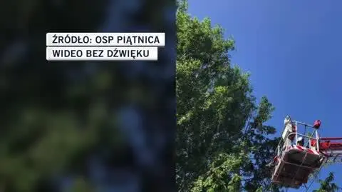 OSP Piątnica 