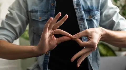 shutterstock_2365886411