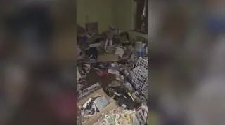 Interwencja inspektorów. Odebrali pięć zwierząt