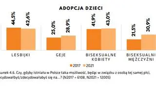 Deklaracje par jednopłciowych w sprawie adopcji dzieci, gdyby była ona możliwa w Polsce