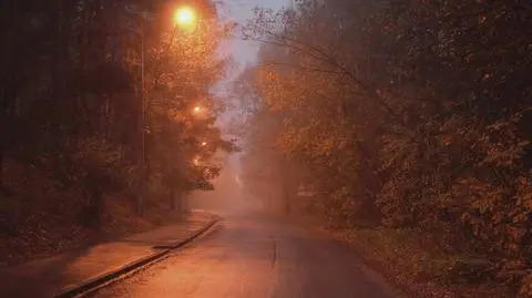 Noc z deszczem i zamgleniami, w dzień do 21 stopni
