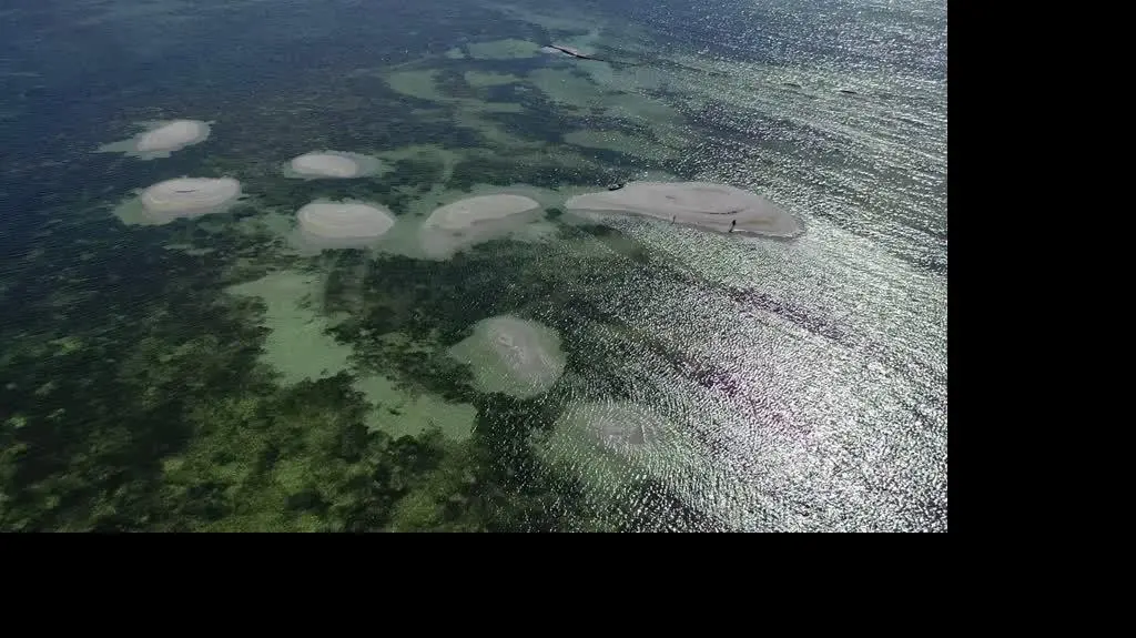 0509N022X POLSKIE MALEDIWY