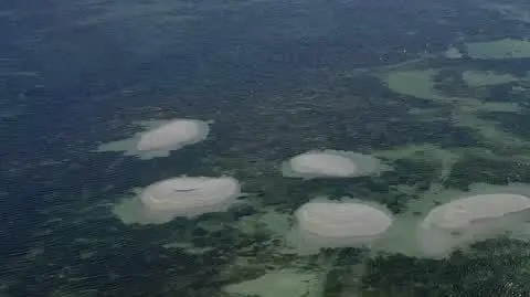 0509N022X POLSKIE MALEDIWY