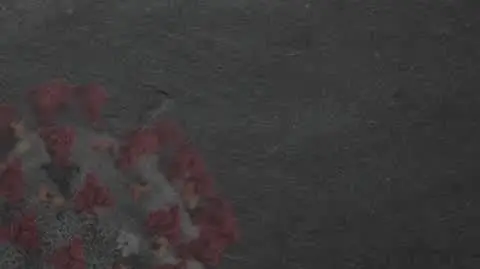 0205N076X GRAFA LISTONOSZE