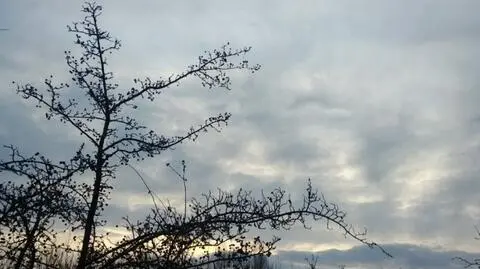 Zza chmur wyjdzie słońce, ale lokalnie sypnie śniegiem