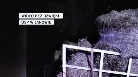 janów 