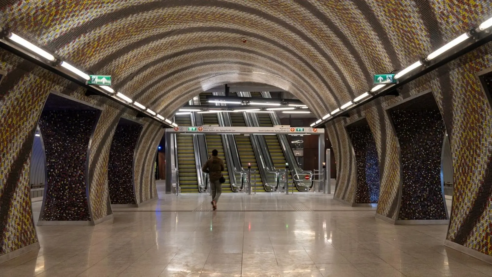 Węgry. Dzik zawędrował na stację metra
