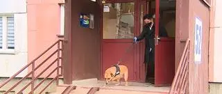 Wolontariusze pomagają osobom na kwarantannie