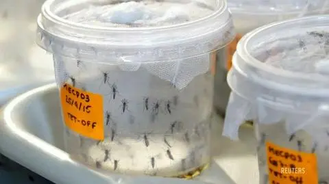 Brazylia walczy z epidemią