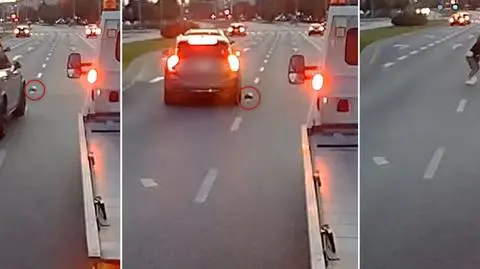 Hedgehog crossing a road saved from nearly-certain death