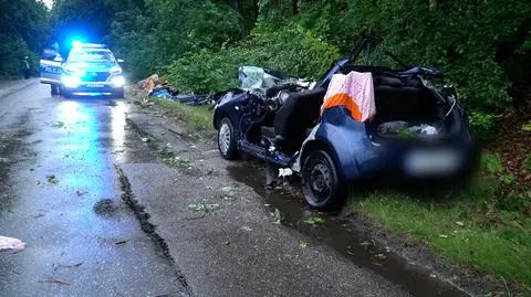 Drzewo przewróciło się na samochód