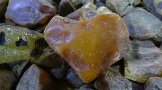 Mężczyzna próbował przewieźć przez granicę ponad 23 kilogramy bursztynu 