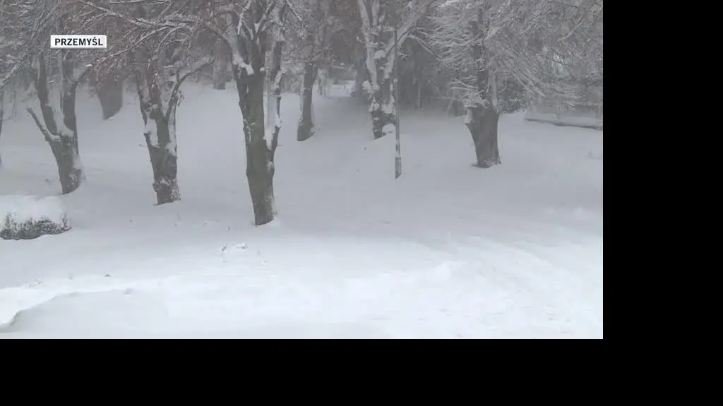 1212N061X PADA_SNIEG2