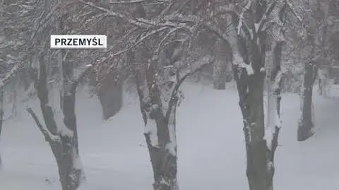 1212N061X PADA_SNIEG2